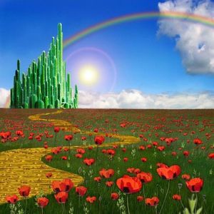 Meet your Posher, Sandy